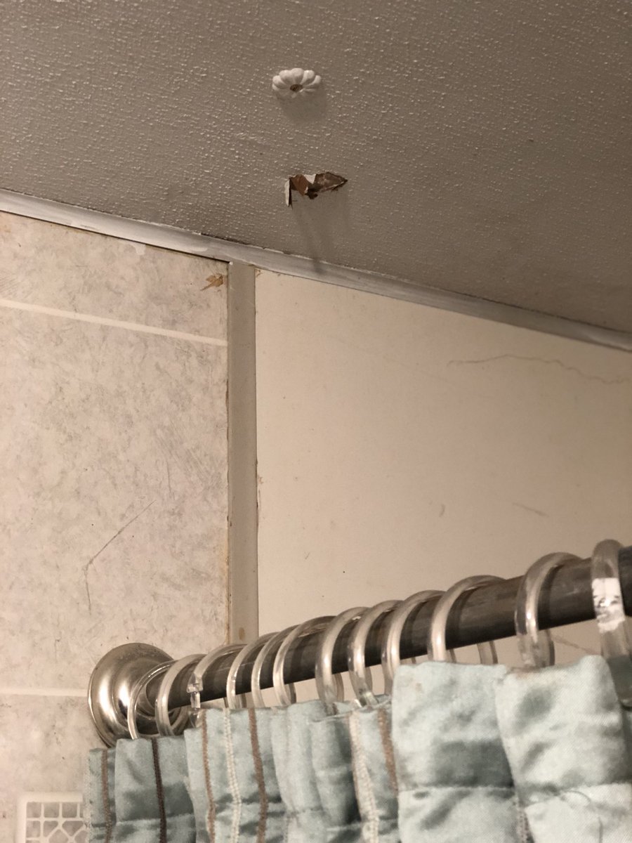 PascoPoliceDept's tweet image. Gravity is a law too. One of those sky bullets landed inside a residence at the Lakeview Mobile Homes. Thankfully no one was injured. #whatgoesupmustcomedown #gravityexists #Pascoproblems