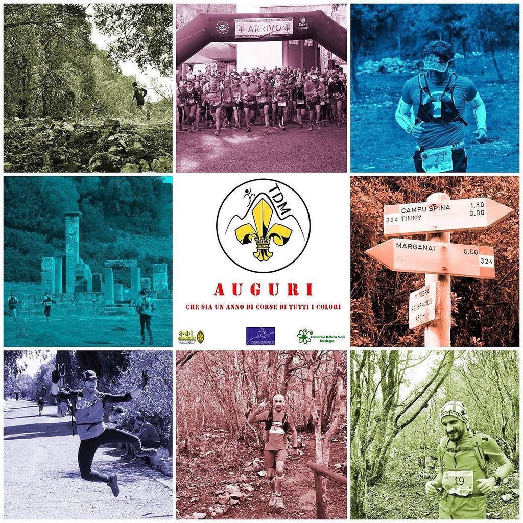 Trail_Marganai's tweet photo. #tdm #traildelmarganai #trail #trailrunning #raidkaralis #assoraider #sardegna #running #nature #volasolochiosafarlo #domusnovas #lacartiera #consorzionaturaviva https://t.co/z3rpDqVVsB https://t.co/LLF85yMWbE