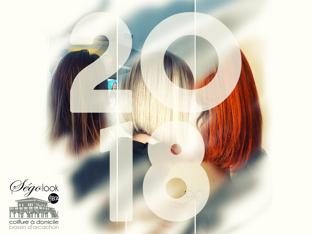SegoLook's tweet image. Bonne année 2018 à tous!  
Meilleurs voeux pour cette nouvelle année pleine de coupes, couleurs et brushings. ✂😉