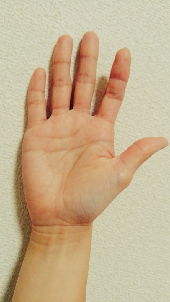 Twitter पर ぽこ 明けましておめでとう御座います 元旦なので縁起の良い物を と言うことで 私の手相です 笑 運命を掴んではなさない 類い希なる強運の証 天下取り なんて言われる ますかけ線 を持った手相で織田信長とか豊臣秀吉とか徳川家康とかと Twitter पर ぽこ 明けましておめでとう御座います 元旦なので縁起の良い物を と言うことで 私の手相です 笑 運命を掴んではなさない 類い希なる強運の証 天下取り なんて言われる ますかけ線 を持った手相で織田信長とか豊臣秀吉とか徳川家康とかと