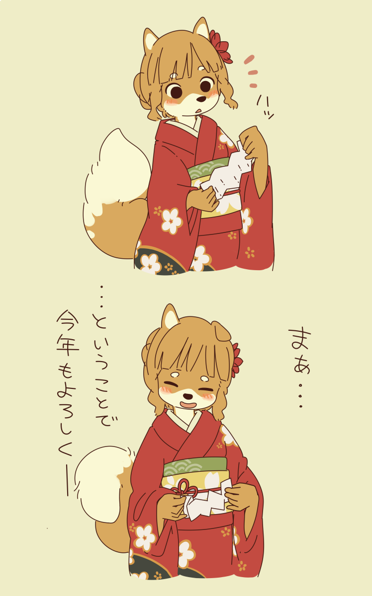 初詣に行く柴犬の女の子です～ 