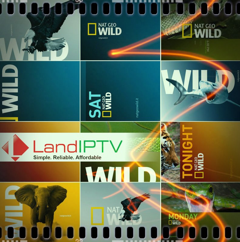 landiptv's tweet photo. https://t.co/xEce05oMbc