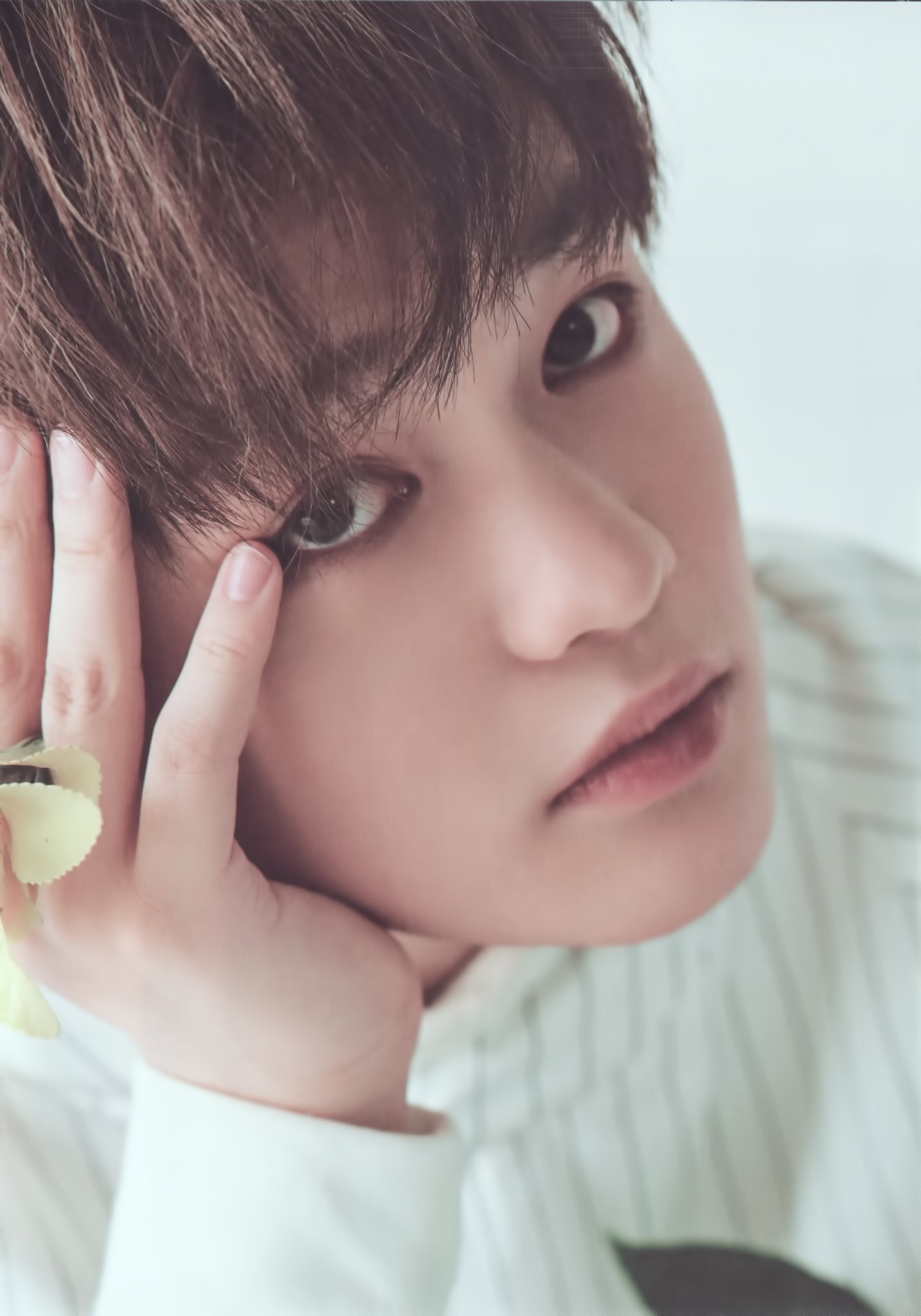 chenle pics on Twitter: "nct's season's greetings 2018💜…