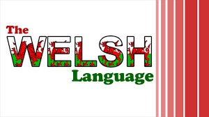 Halo_SF's tweet photo. Great news for local Welsh speakers - we’re now bilingual on social media. From today, you can follow our brand new Welsh language Facebook for all Halo centres across Bridgend County: https://t.co/WObsWEImoq and Twitter: https://t.co/Cn69N5ZAek https://t.co/0nlUeTFBWa