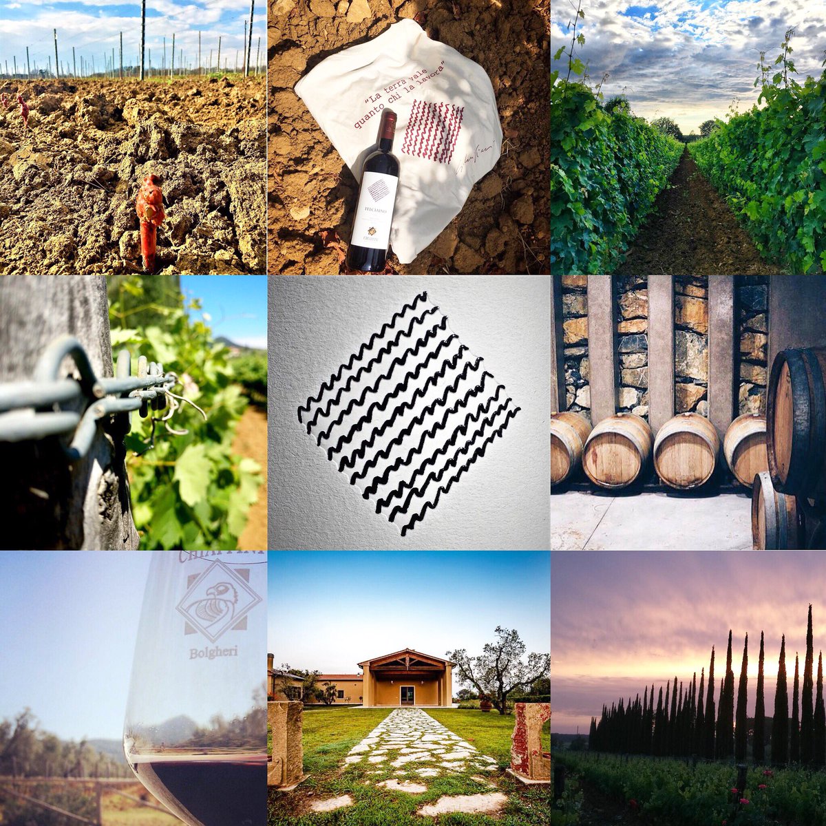 chiappiniwinery's tweet photo. La famiglia Chiappini vi augura un felice 2018!
#HappyNewYear2018 #winelovers #wine #bolgheri #toscana #vino #winemaker #winelover #winetasting #farm #vineyard #chiappiniwinery #happynewyear https://t.co/dzNLUoiqho
