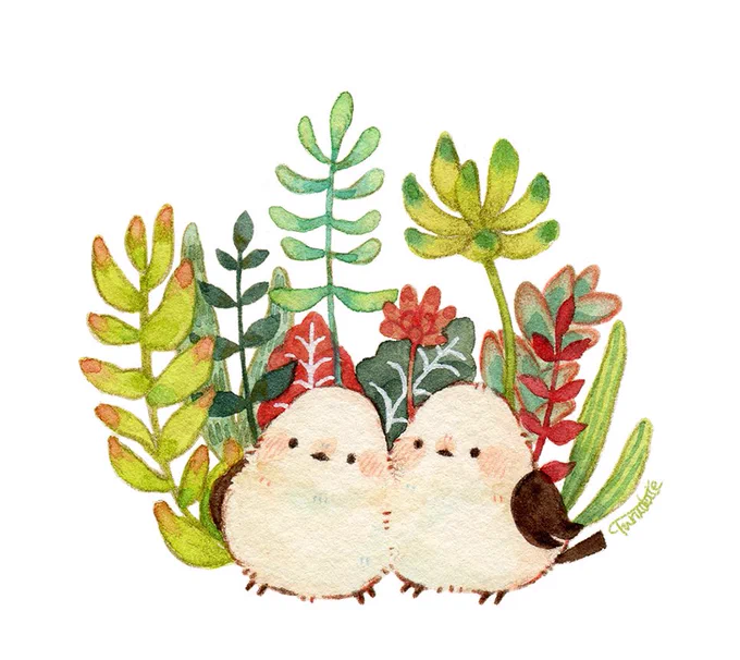 シマエナガと多肉植物。描きたい組み合わせが描けて満足#イラスト #illustration 