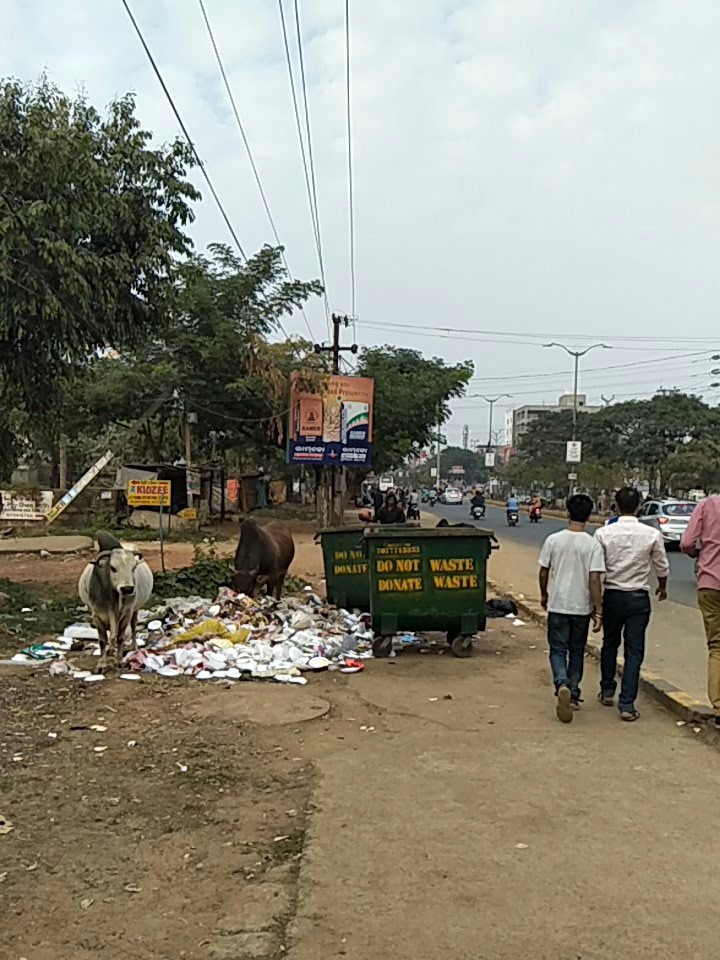 AshokPradhanTOI's tweet photo. #SmartCity footpath: is for garbage and stray cattle near #KIITSQUARE @bmcbbsr @mayorbmc #Bhubaneswar https://t.co/JDeSS4dehO