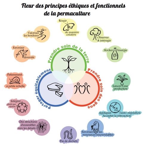 cotenvie50's tweet photo. Que cette année #2018 soit sous l’influence #bienfaitrice de cette #fleur de la #Permaculture #Sante pour tous,que vos projets se réalisent https://t.co/bm1TZmb3ms