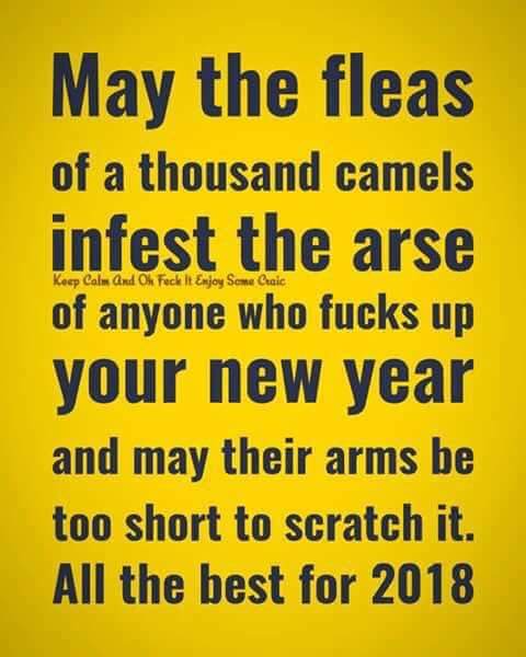 metzlloyd's tweet photo. Happy new Year https://t.co/QZlrCYTbAI