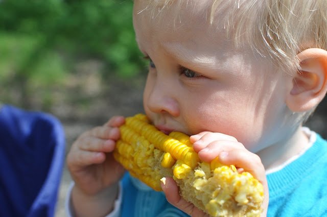 Parent Network Scotland (@pnscotland) on Twitter photo RT <a href="/AttachmentMumma/">Attachment Mummy</a>: Why Our Kids Love Fruit & Vegetables & How Yours Can Too #fussyeaters #pickyeaters #parenting
bit.ly/2fqh40M RT <a href="/AttachmentMumma/">Attachment Mummy</a>: Why Our Kids Love Fruit & Vegetables & How Yours Can Too #fussyeaters #pickyeaters #parenting
bit.ly/2fqh40M