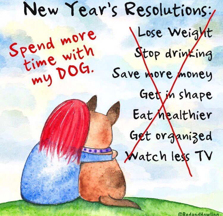 threedogindy's tweet image. We&apos;re OPEN until 6PM today! 🐾💜 #bringyourpup #bestresolution #spendtimewithyourdog #newyears2018