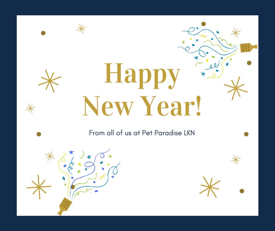 PPRLakeNorman's tweet photo. We want to know what you and your fur members New Years Resolutions are! Leave a comment on any of our social media pages. We can’t wait to see what your New Year has in store! #HappyNewYear #petparadiselkn https://t.co/MwYVh7mRP3