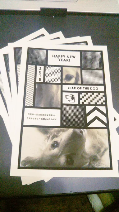 うちの写真写りのくそ悪い犬をごりごりに加工して今年の年賀状作ったよ 
