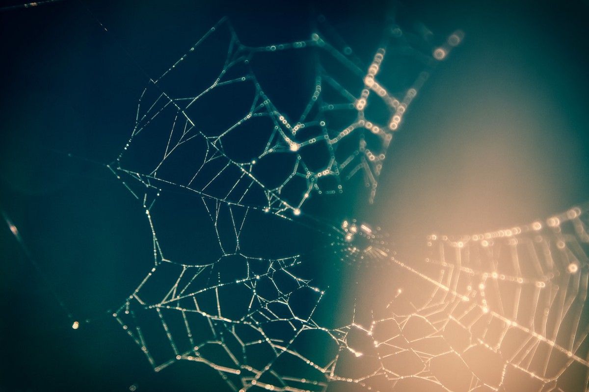 LAGolang's tweet image. HTTP(S) Proxy in Golang in less than 100 lines of code buff.ly/2CmnxnP