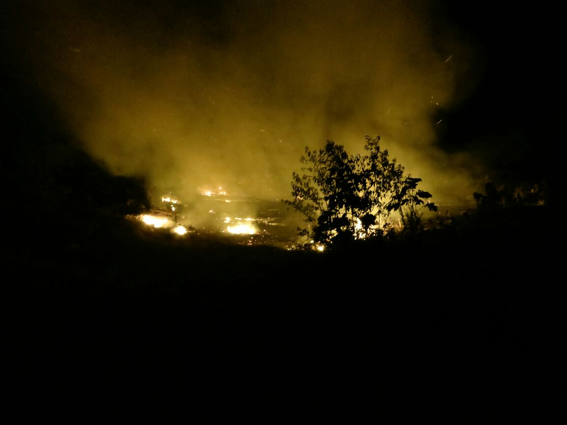 marceloopitz's tweet photo. Hoy en @adnradiochile te informamos de los encapuchados que quemaron maquinaria forestal en la Región de #LosLagos. Esta madrugada ingresaron al predio de la empresa de extracción de madera #Anchile tras amenazar al guardia, en el sector de Monte Verde, #Riachuelo, #RíoNegro. https://t.co/IZHYgCepRu