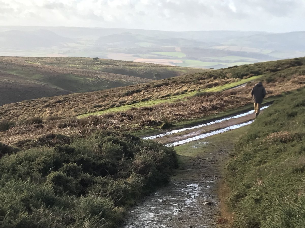 DunsterStay's tweet photo. #walkinginto2018 #quantocks #somerset https://t.co/XQIcN2MRM9