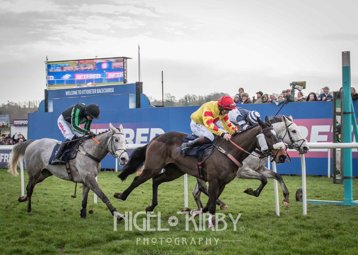 Nigel Kirby Photography tweet media