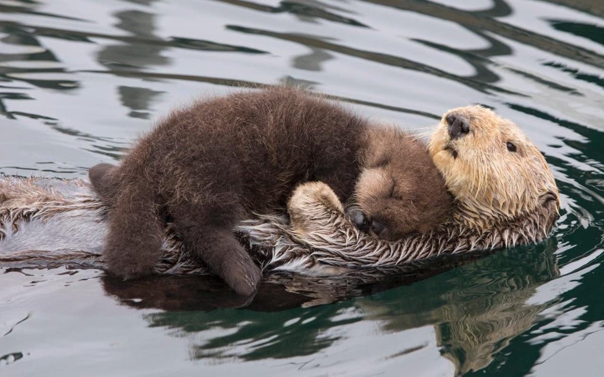 To give and not expect return.
That is what lies at the heart of love.

Oscar Wilde