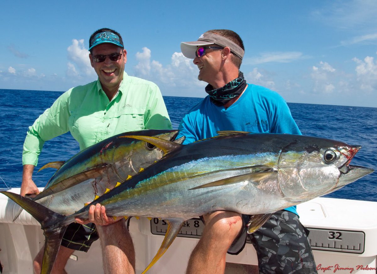 CaptJimmyNelson's tweet image. Tune into the Sportsman Channel TODAY at 3:30 pm for “Livin the Dream with Capt. Jimmy Nelson” and see some Cayman Island yellowfin tuna action. Livin the Dream airs 4 times a week ALL YEAR LONG. @fishingwithluiza