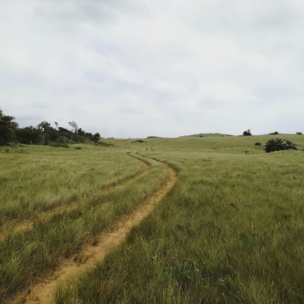 kei_singletrack's tweet photo. Riding in 80km winds with a bunch of mates on the Transkei coast... what a great way to see in the new year.
#awesomerides #kei #keicycle #Transkei
#mtbtrail #mtbkei #mountainbiking #wildcoastmtb #cycling #adventureSA #adventureriding #wind #adventure #2018 https://t.co/3vu17IXYLo