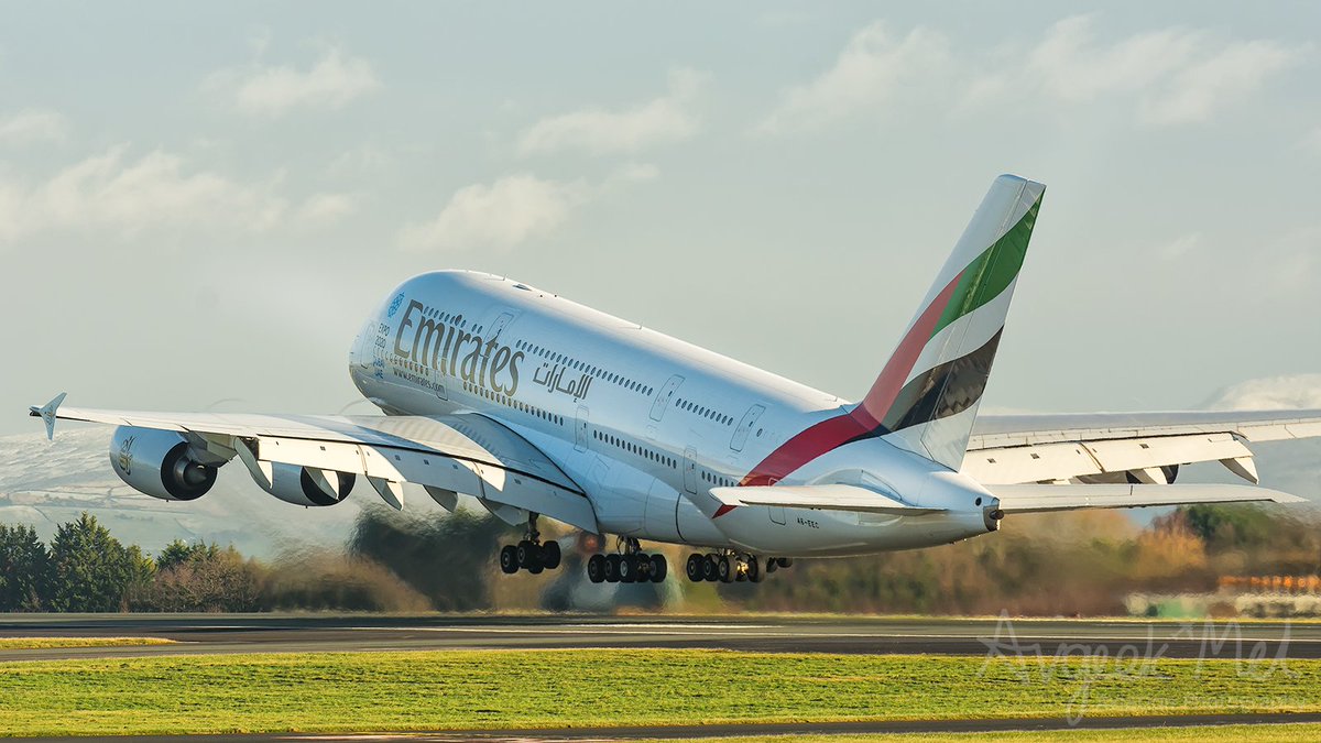 Avgeek Mel tweet media