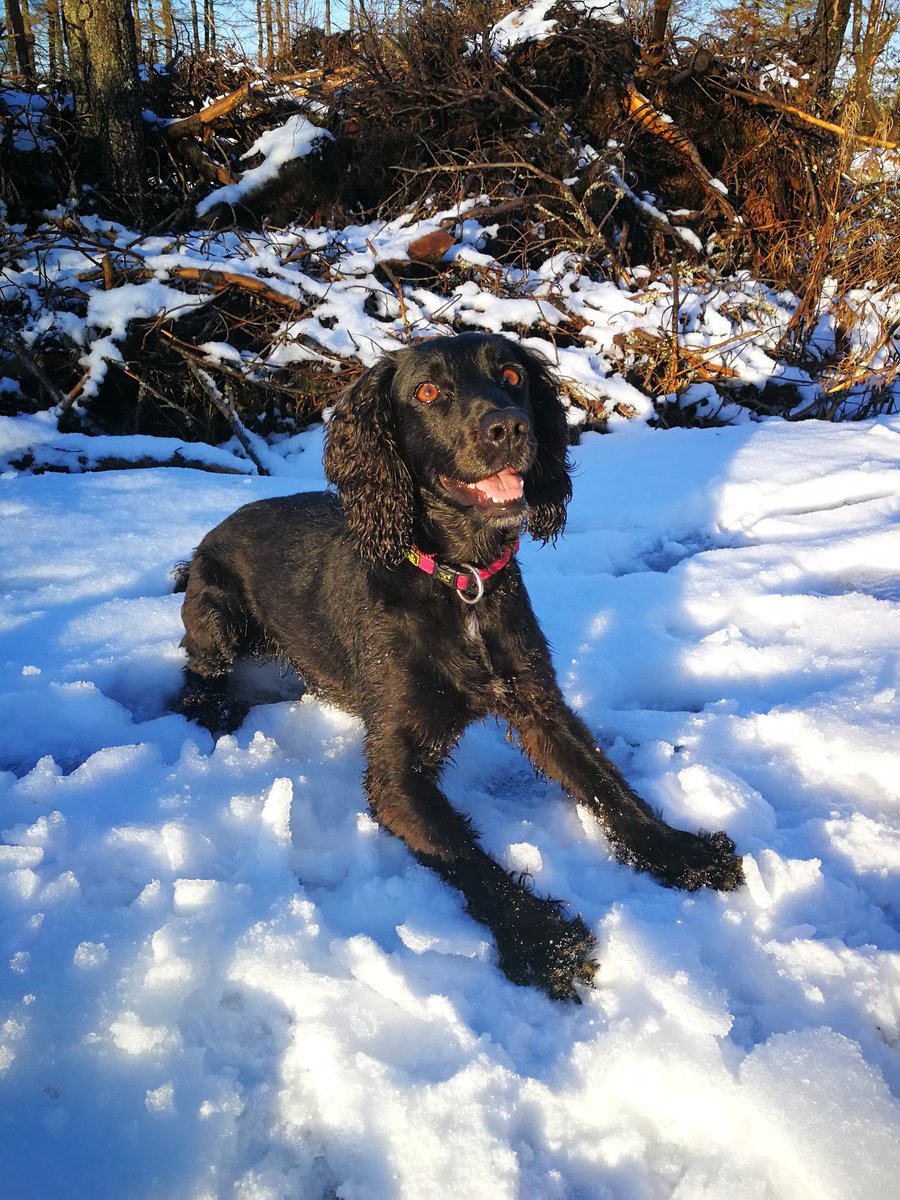 madspannas's tweet photo. https://t.co/ALuoMoOjCS