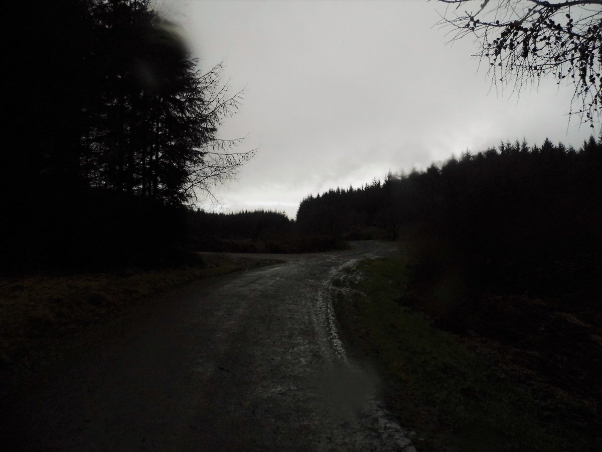 pastijones's tweet photo. Just after 09.00 am,01/01/18 At Llanwonno Forestry Wales ,Uk
Gods country !
#NewYearsDay #NewYear2018 #walkinginto2018like #hikingadventures #hiking
#Wales @BBCWalesNews @WalesOnline @YourPontypridd @PositivelyPonty @GTFMNEWS https://t.co/KrF5YR3nNu