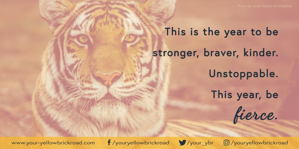 your_ybr's tweet photo. That's my 2018 sorted!
#happynewyear #beunlimted #befierce https://t.co/fnbxv6bBqQ