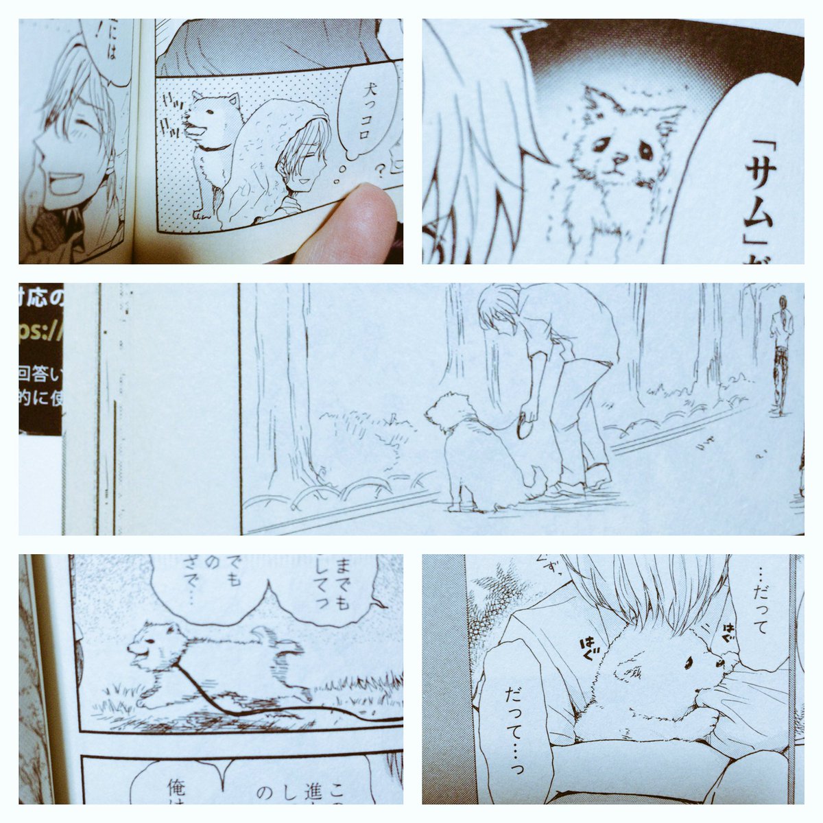 菅辺吾郎 愛の間に間に発売中 123kannbe560 さんの漫画 10作目 ツイコミ 仮