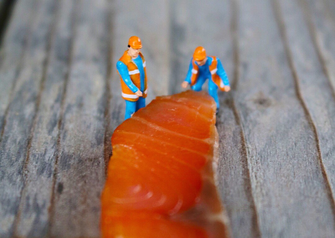 CattleShedFood's tweet photo. Year 2 of our home smoked salmon,  @ProQSmokers Just passed quality control and the verdict is 👌🏻 
#smokedsalmon #coldsmoke #instafood #picoftheday #local #foodpics #photooftheday #csg #fish #foodie #foodporn #borrowers #food #foodphoto #foodphotography #foodgasm https://t.co/xnDI6utFuP