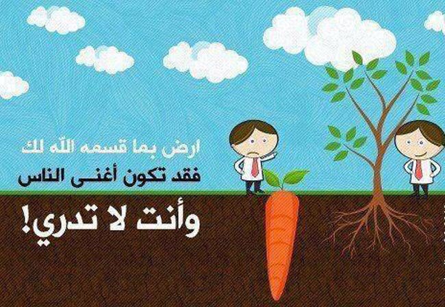 قَبل ان تتحدث عن  #الراتب_مايكفي_الحاجه تذكر ان هُناك اشخاص غيرك غير موظفين.
لذلك تمنى لهم كما تريد لنفسك.
والقناعه كنز لايفنى.