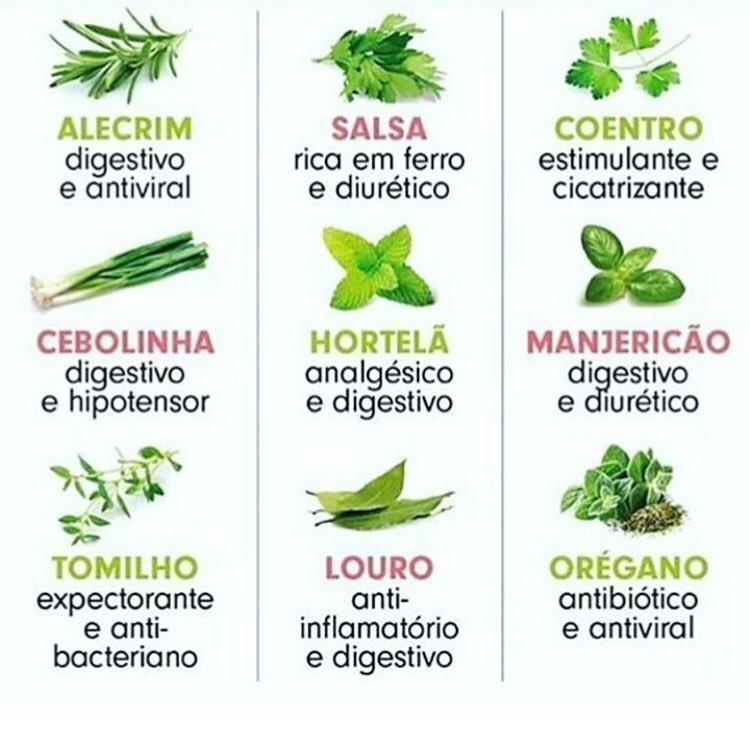 #SegundaDetremuraSDV dicas de saúde ervas 😉👐🏻✌🏻👇🏻
