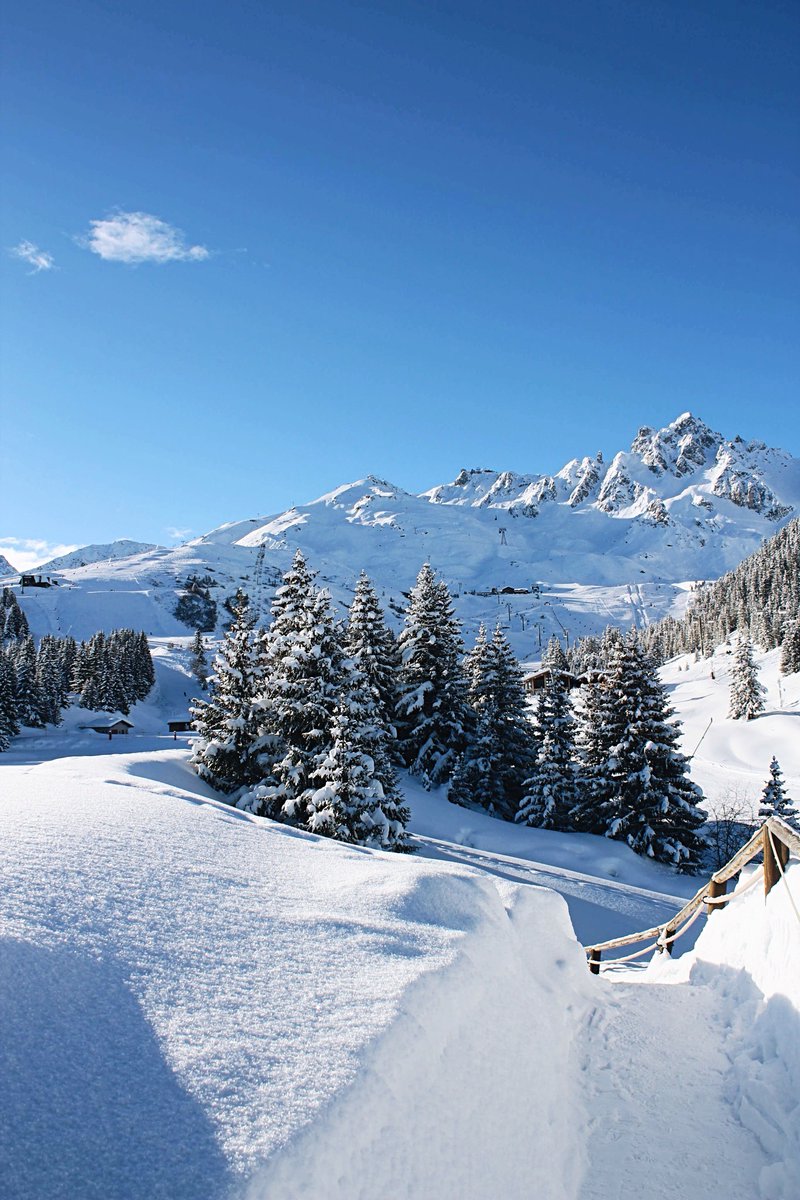 chaletdepierres's tweet photo. Toute l’équipe du Chalet de Pierres vous souhaite une merveilleuse nouvelle année 2018 !✨
#LeChaletdePierres #HappyNewYear #Courchevel https://t.co/XHPkwTEsdD