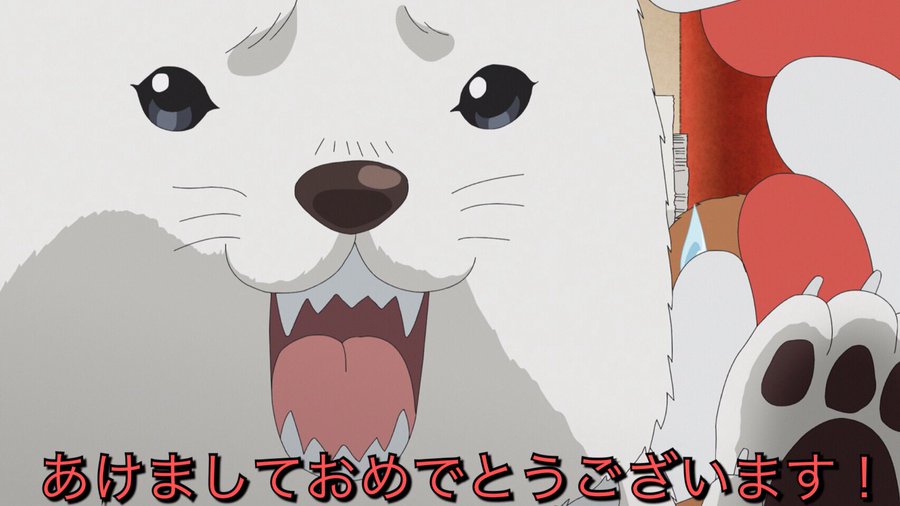 鬼灯の冷徹 シロの犬種は マスコットキャラクターのしっぺいと似ている ファンタジーアニメの入口