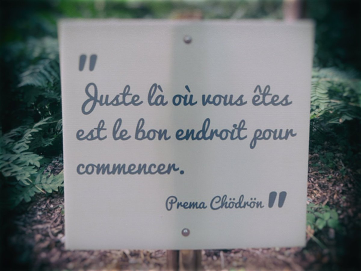 EcocentreOASIS's tweet photo. L'écocentre Oasis vous souhaite une très belle année 2018 ! 
Que cette  année soit pour nous toutes et tous le point de départ d'un monde meilleur. #écologie #voeux2018 https://t.co/GzI0FCZFv4
