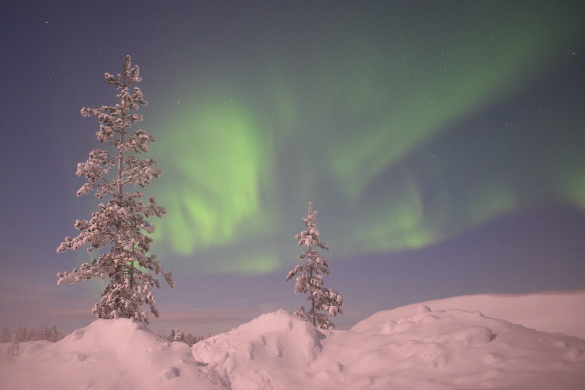 levi_wip's tweet photo. I enjoyed a wonderful #aurora show last night #levilapland, check more pictures from https://t.co/MJHix2ieOA https://t.co/LWSGtjktd1