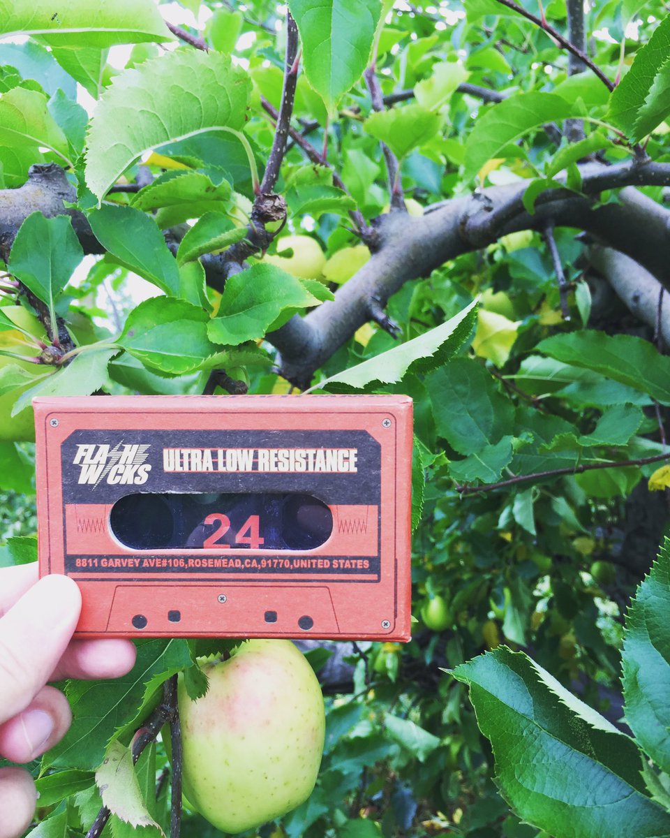 Flashwicks's tweet image. 