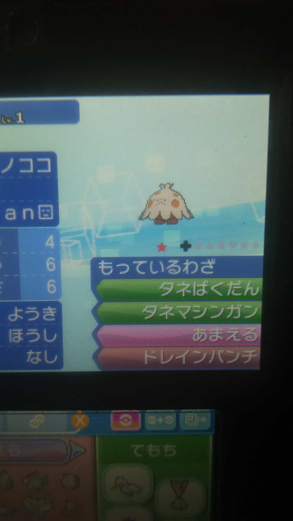 Uzivatel 美蘭 ポケ垢 Na Twitteru 色キノココ 国際孵化で出しました でも特性が ほうし だったので特性カプセルを使うはめに W まぁ出てきてくれただけありがたいです これからよろしくね キノココ ポケモンusum ポケモンウルトラサン ウルトラ