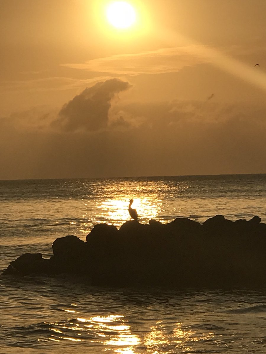 mmillsmco's tweet photo. @hiltoncartagena  @HiltonHotels one of the best stays I have had! Your staff is great! Thanks for making it a most memorable NYE! https://t.co/tRT7l7Pxn5