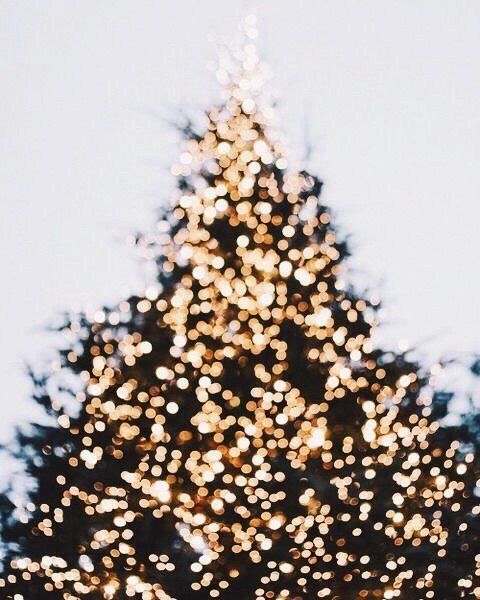 ¡Comenzamos un año más junto a vosotros! 🎄
#Perrachica #GrupoLarrumba