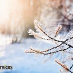 Photo by Tree Services (@TreeServMag)