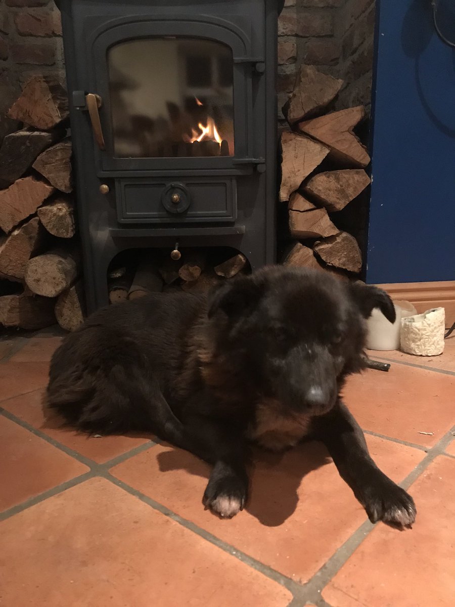 Hi North Co. Dublin folk. My dog Rio ran away and is still missing having gotten a fright with fireworks last night. He is microchipped but it’s not obvious. He’s old with limited sight and hearing, so likely to be disorientated and lost. Please Dm me if you see him. GRMA