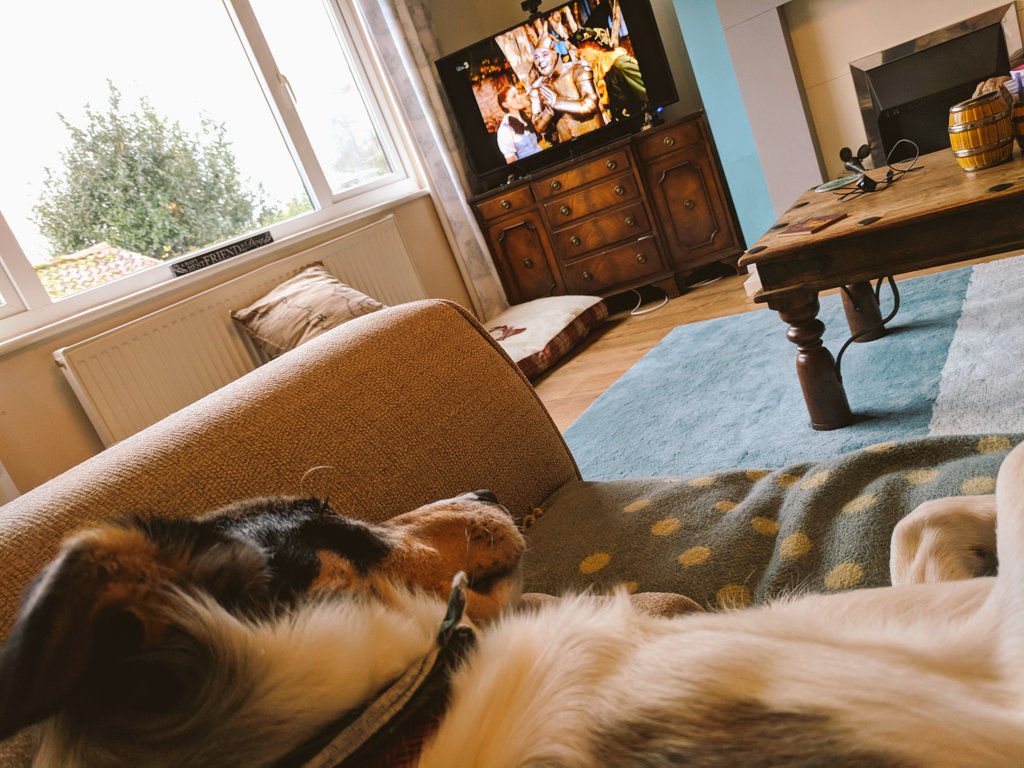 DexterDoggy's tweet photo. Happy New Year! #NewYearsDay can only mean one thing, mamma making me watch 'classic' movies
#classic 
#WizardOfOz 
#JudyGarland 
#oldschool 
#WhatIsThisCinematography 😂 https://t.co/83EKaoJfTr