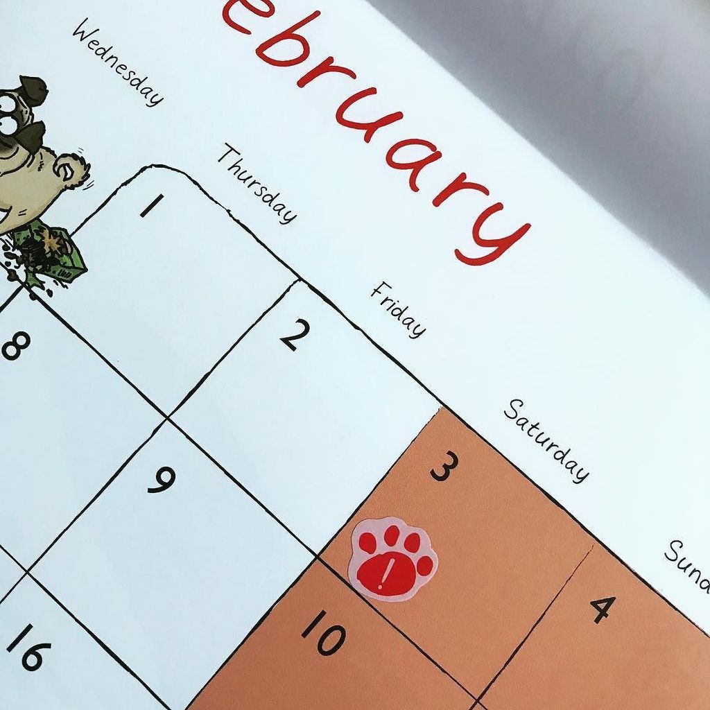 Joolzephoto's tweet photo. Starting the new year as I mean to go on... Marking important dates in the new calendar, most of which are weekends planned riding with mates! #woacaontour #funwithmates #newyearstuff #calendar #importantdates #bringontheadventures #mountainbiking #ridef… https://t.co/xlckEtegMJ https://t.co/65CVUwQGMA