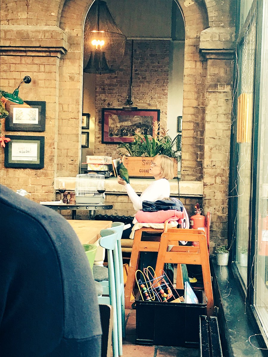 TimmyKernow's tweet photo. #NewYearsDay in Kew #TapOnTheLine pub and this lady has brought her bird for a New Years drink and a catch up https://t.co/G71tvEdXqu