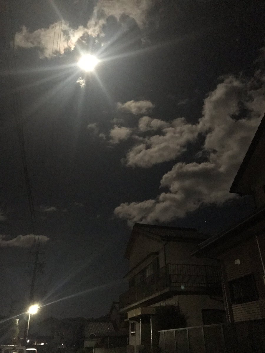 nachuko715's tweet photo. @Romsta3 尾鷲もめちゃ明るい！田舎やから？ https://t.co/A8SYwMkyV1