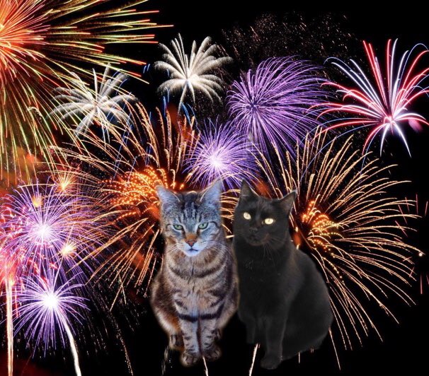 HAPPY NEW YEAR FURRY PALS!!! 2018 will be the bestest year yet!! Luff you all your man Leo 🎉🎉🎉 <a href="/_Demonia_/">🖤Smooch, Pablo (Blade & Fantom💔 (OTRB)🖤</a> @mirrr_i_Am