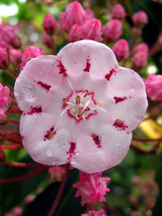 Olhando
o horizonte
que me vê
asseguro:
Ainda sou
uma paisagem
que pode dar certo.