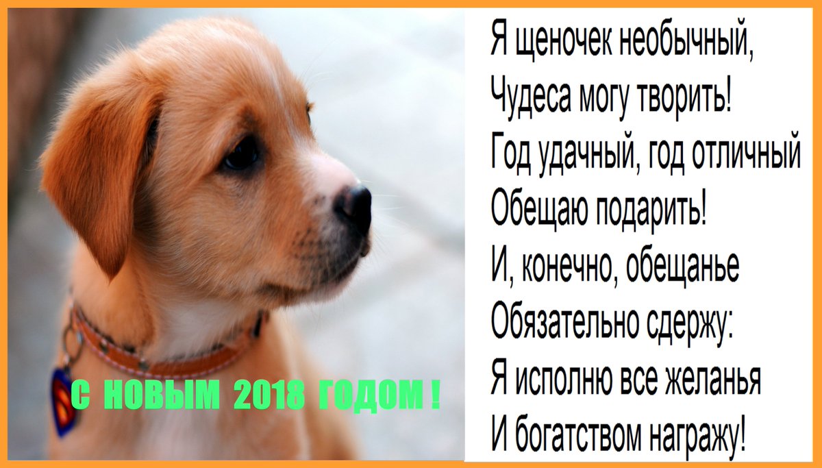 Всех с  Новым 2018 Годом!!! Всем здоровья и удачи в новом году. 
#праздник #елочка #нг#год_собаки 
#1января2018#нг_2018 #новыйгод #праздниккнамприходит 
#Сновымгодом #поздравляю #зима #новыйгод2018 #поздраления