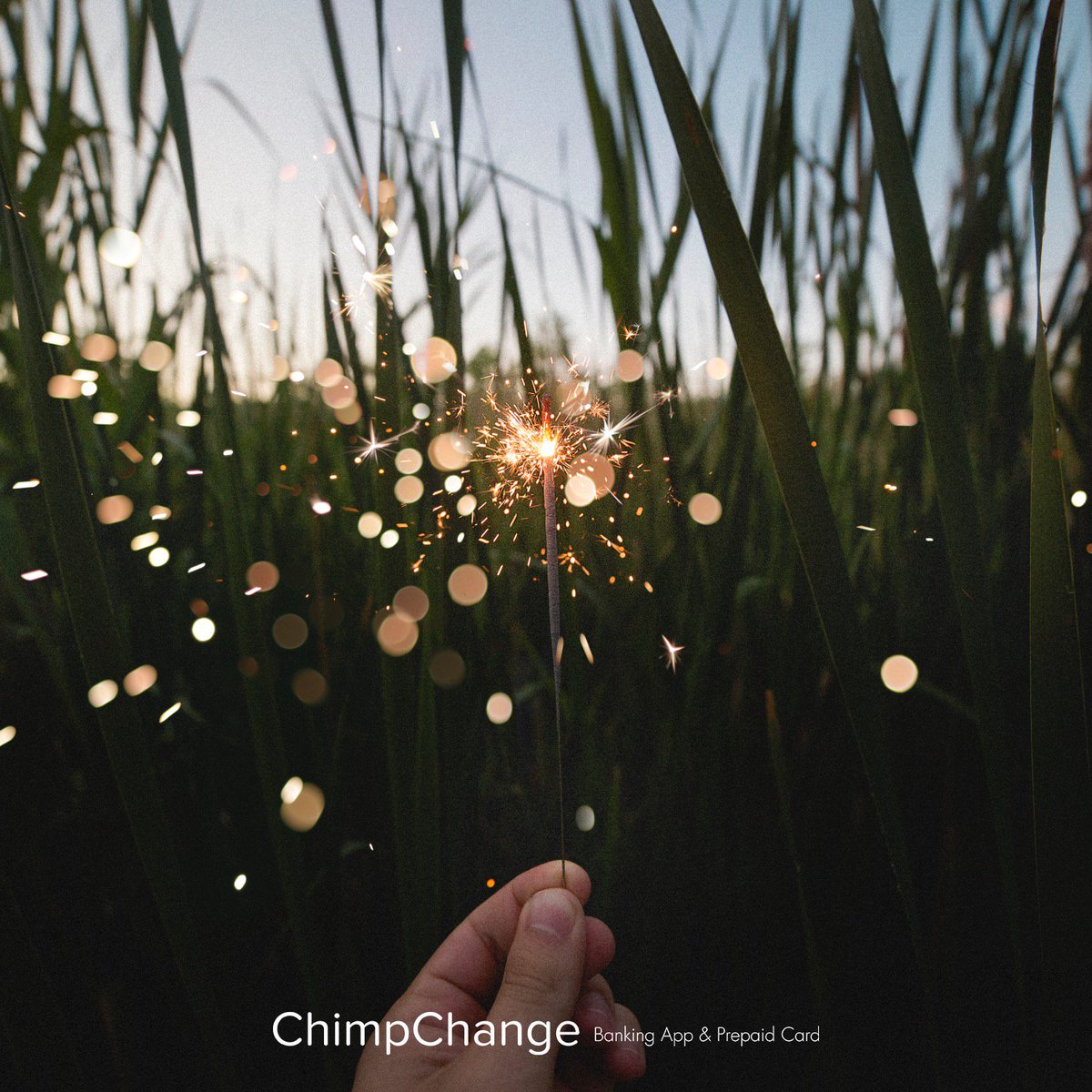 ChimpChangeMe's tweet photo. Happy New Year from all of us at #ChimpChange! Let's make 2018 a year of health, happiness and success! #newyear #smartmoney https://t.co/EzJOPu0BXD